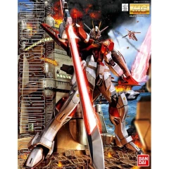 Sword Impulse Gundam (MG 1/100)